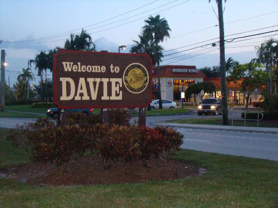 the diamond company, Gold-Reef-Estate-Buyers-Davie